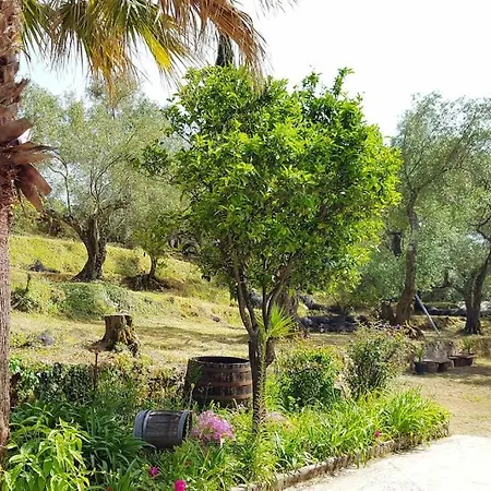 Eleonas-olive Grove Traditional Apartment